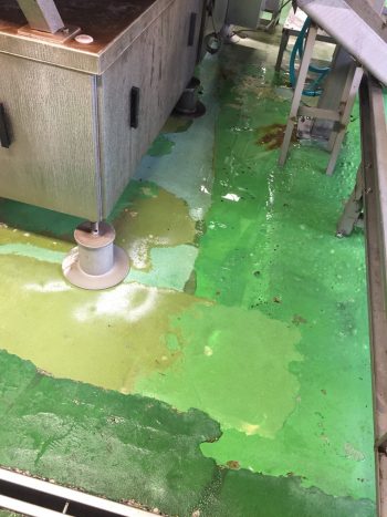 水性硬質ウレタン　食品工場塗床改修工事